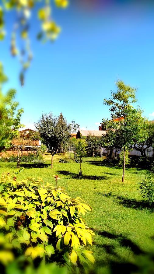 B&B "Madama Granet" Borgo San Dalmazzo Dış mekan fotoğraf